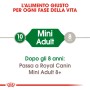 Grafica Royal Canin Mini Adult per alimento secco per cani di piccola taglia dai 10 mesi agli 8 anni.