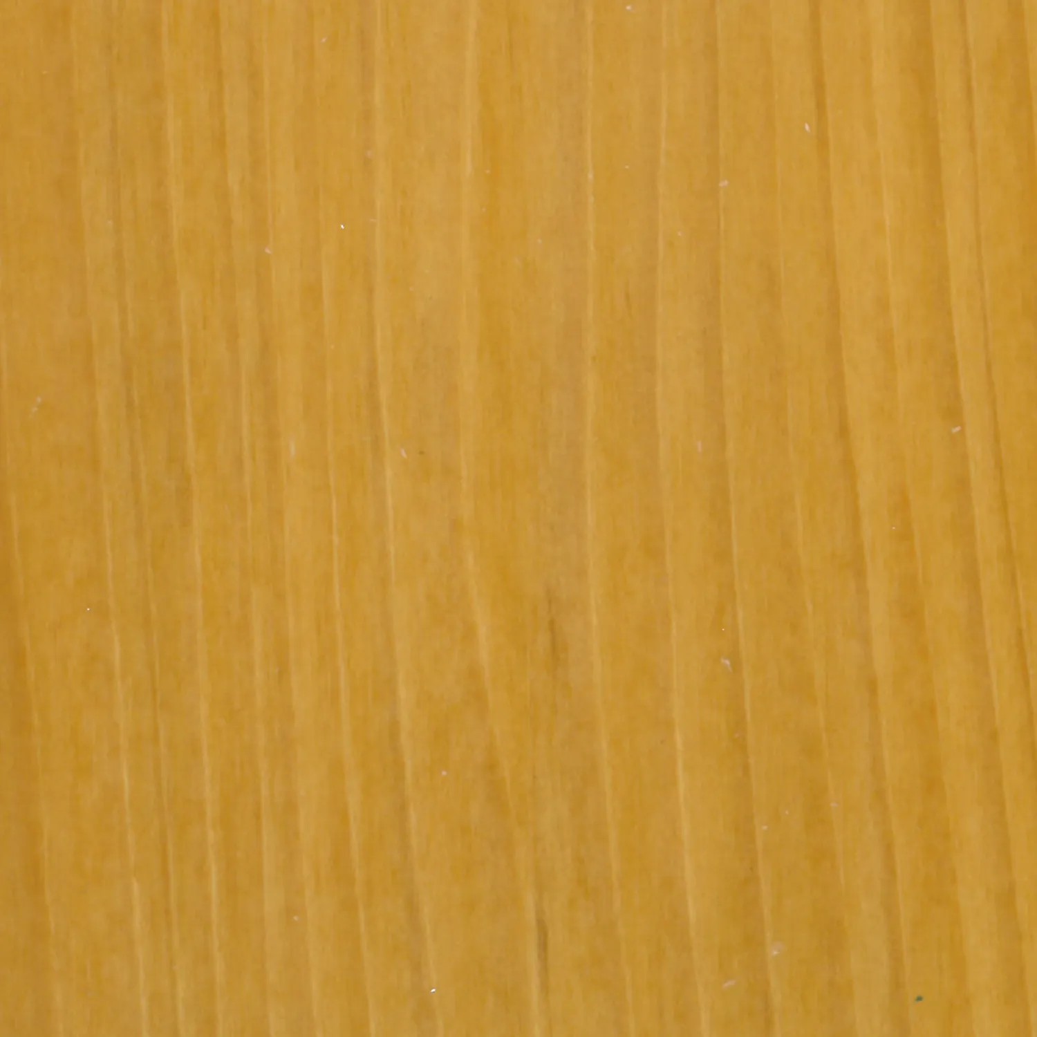 Primo piano di legno chiaro non trattato, adatto per l'impregnazione.