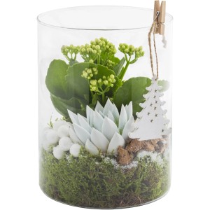 t.b.t. Composizione di piante in cilindro di vetro con elementi decorativi.