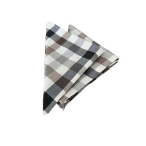 Coppia tovaglioli in cotone Alba 40x40 cm bianco grigio 2 pz