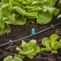 Irrigazione con gocciolatore t.b.t. nell'aiuola. Raccordi irrigazione per irrigazione del giardino.