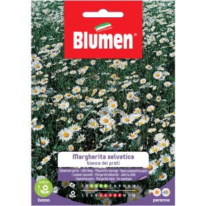 Confezione di semi di margherita selvatica (t.b.t.) di Blumen. Ideale per giardini naturali.
