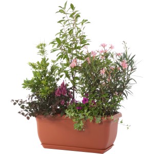Fioriera XL Unica, 100 cm, terracotta, piantata con varie piante verdi e fiorite.