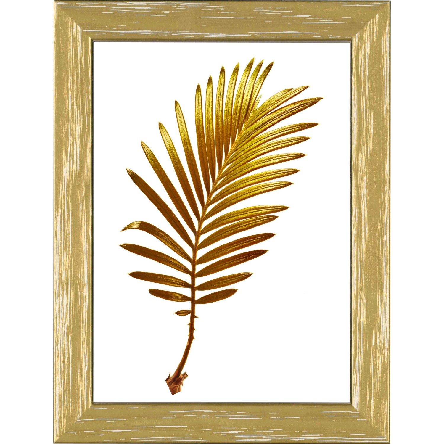 Palma dorata in cornice. Decorazione murale.