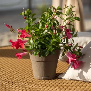 Vaso per piante plastica riciclata Tortora Ø 15 cm