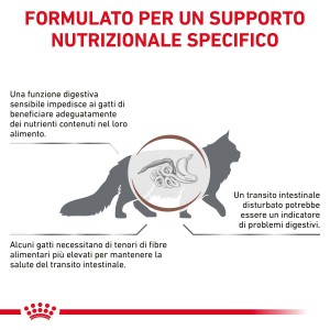 Illustrazione: Gatto con sistema digestivo, evidenziando nutrizione speciale per digestione sensibile.