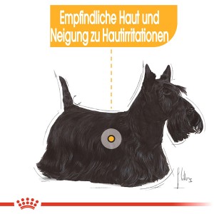 Illustrazione: Royal Canin Dermacomfort Mini cibo per cani con pelle sensibile.