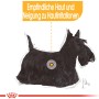 Illustrazione: Royal Canin Dermacomfort Mini cibo per cani con pelle sensibile.