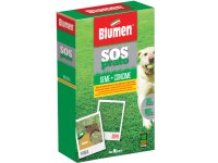 Semi Prato Forte Soleggiato Blumen - 1kg | Per Terreni Soleggiati | Calpestabile - Foto 5