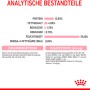 Royal Canin Kitten umido: Composizione e analisi. Dettagli su ingredienti e valori nutrizionali.
