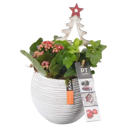 Composizione natalizia Capi ceramica con vaso 13 cm