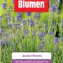 Confezione di semi di lavanda (Lavanda Officinalis) per erbe aromatiche.