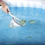 Pulizia piscina con retino: Foglie rimosse dalla piscina.