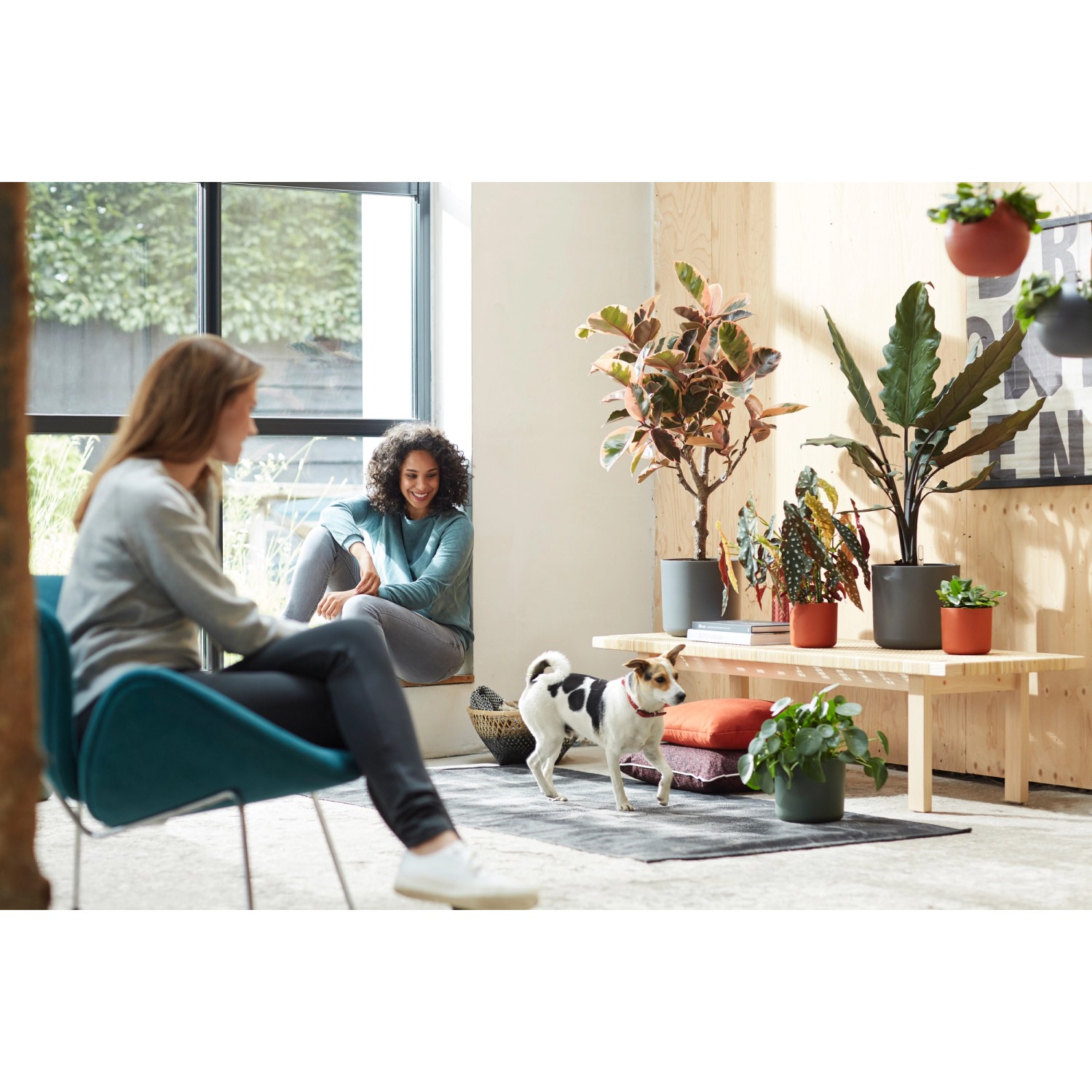 Vaso da fiori rotondo Elho antracite (Ø 18,3 cm) in un moderno soggiorno con piante.