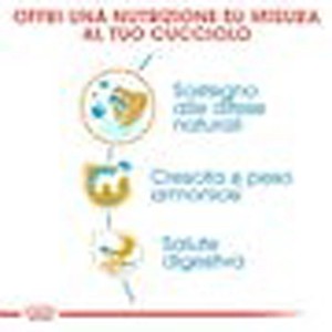 Grafica su t.b.t. cibo secco per cani con note su ingredienti e benefici.