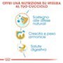 Grafica su t.b.t. cibo secco per cani con note su ingredienti e benefici.