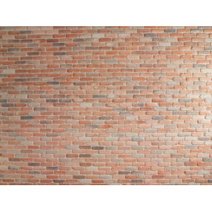 Rivestimento Belize Salmon: Rivestimento murale rustico effetto mattone per interni ed esterni.