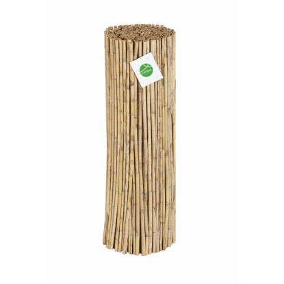 Arella naturale in bambu H 1,5 x L 5 m