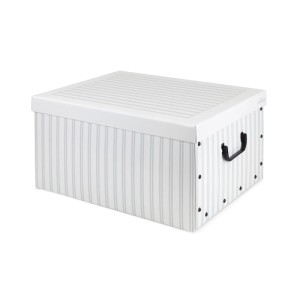 Baulotto con coperchio Compactor Anton bianco grigio 50x40x25 cm