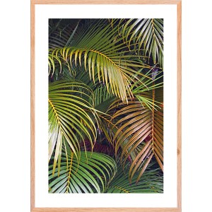 Quadri con foglie di palma tropicali in cornice di legno.