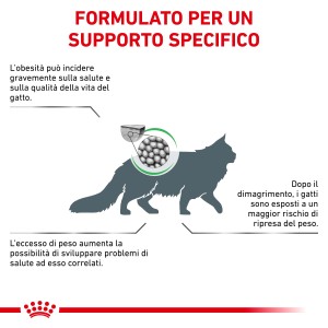 Illustrazione sul tema del sovrappeso nei gatti e i vantaggi del cibo secco specifico.