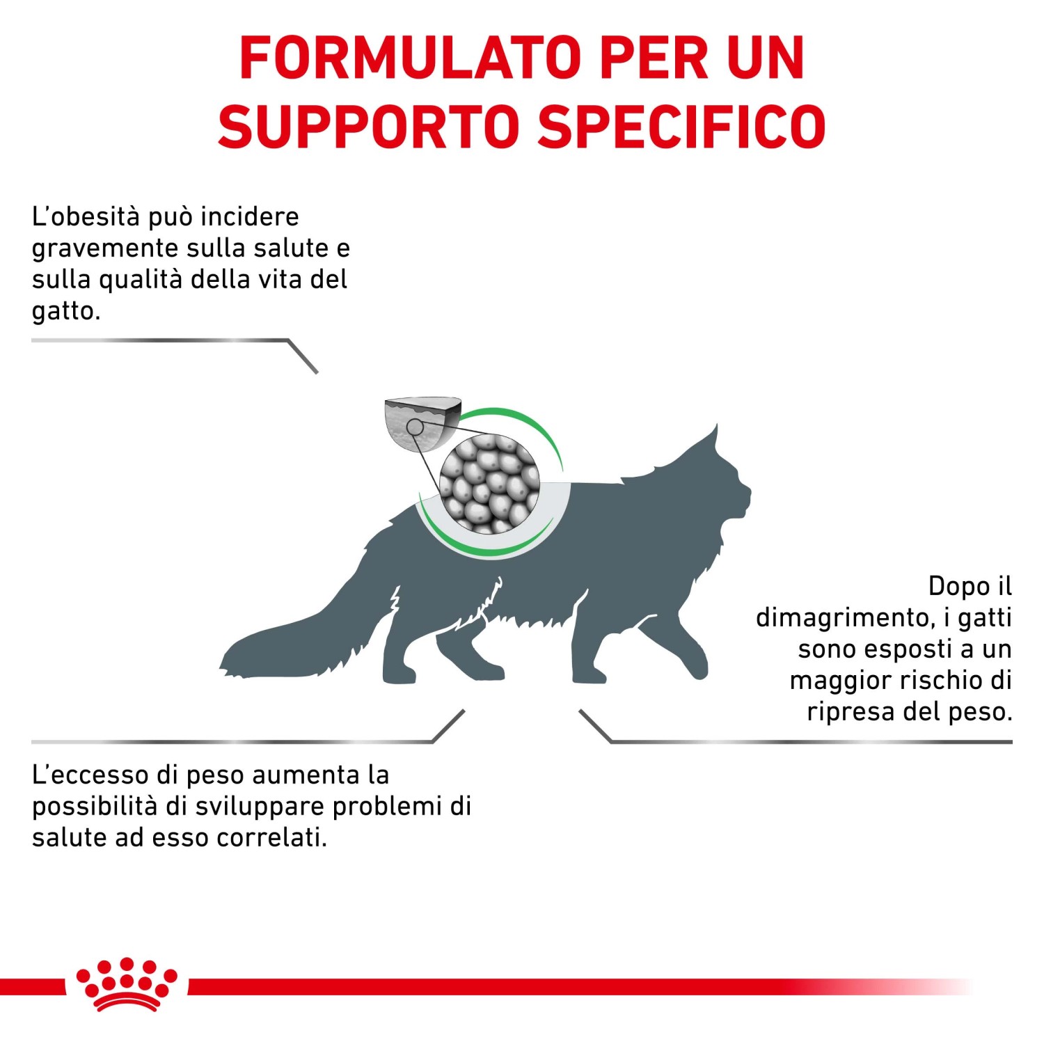 Illustrazione sul tema del sovrappeso nei gatti e i vantaggi del cibo secco specifico.