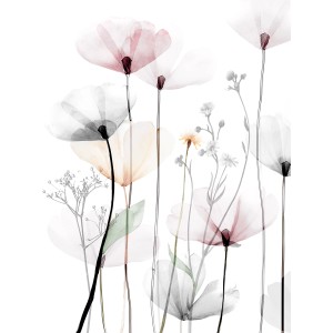 Quadri: Fiori delicati e trasparenti in rosa, bianco e grigio su sfondo bianco.