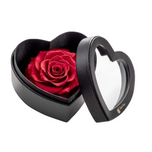 Rosa rossa conservata in scatola nera a forma di cuore, Rosa di Natale.
