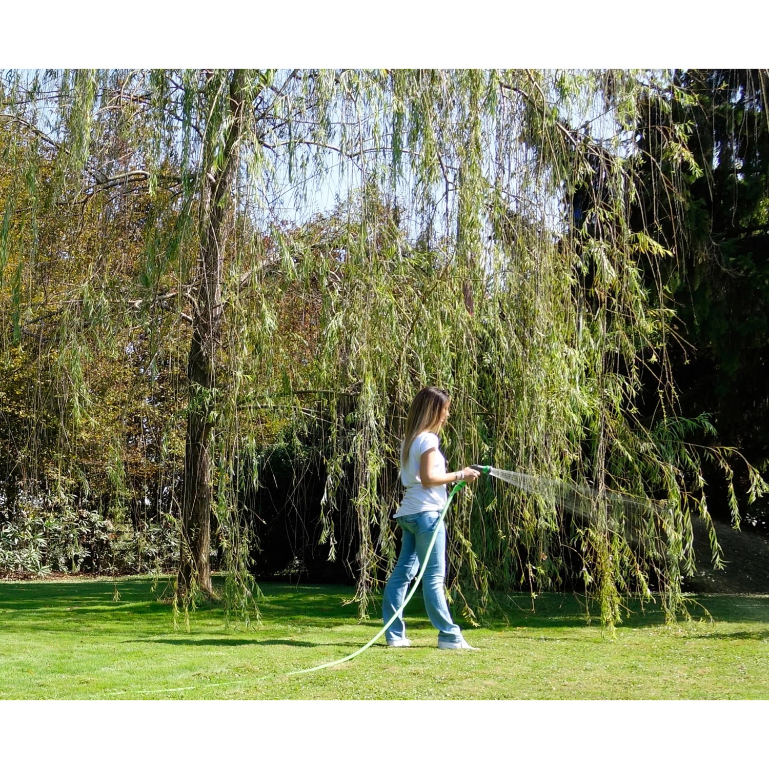 Donna che innaffia il giardino con tubo per irrigazione t.b.t. sotto un albero.