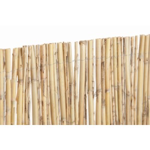 Dettaglio di uno schermo di canne per la privacy.