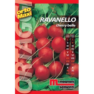Confezione di semi di ravanelli rossi Cherry Belle, categoria: Semi da orto.