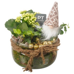 Composizione di piante con gnomo in vaso di vetro, composizione per interni.