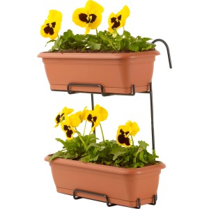 Doppia fioriera da balcone per fiori con viole del pensiero gialle.