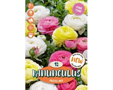 20 Bulbi Di Ranuncolo Rosa - Fiori Rari E Resistenti Per Giardino E Balcone | Piante Perenni Primaverili - Foto 4