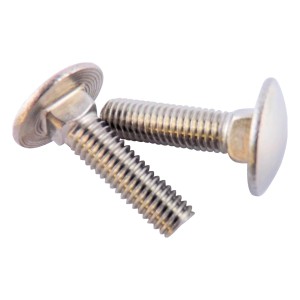 Primo piano di due bulloni a testa tonda in acciaio inox con quadro sottotesta.