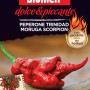 Sementi di peperoncino Trinidad Moruga Scorpion di Blumen, varietà piccante per l'orto.