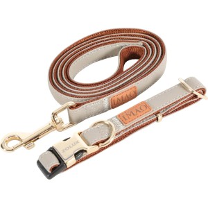 Set collare e guinzaglio per cani t.b.t. in beige e marrone con dettagli dorati.
