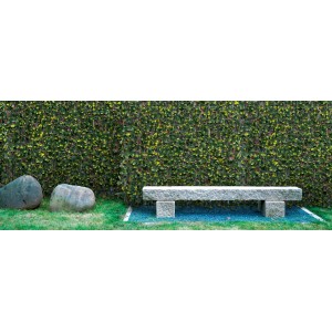 Paravista t.b.t. con foglie verdi in giardino, pietre e panca in pietra in primo piano.