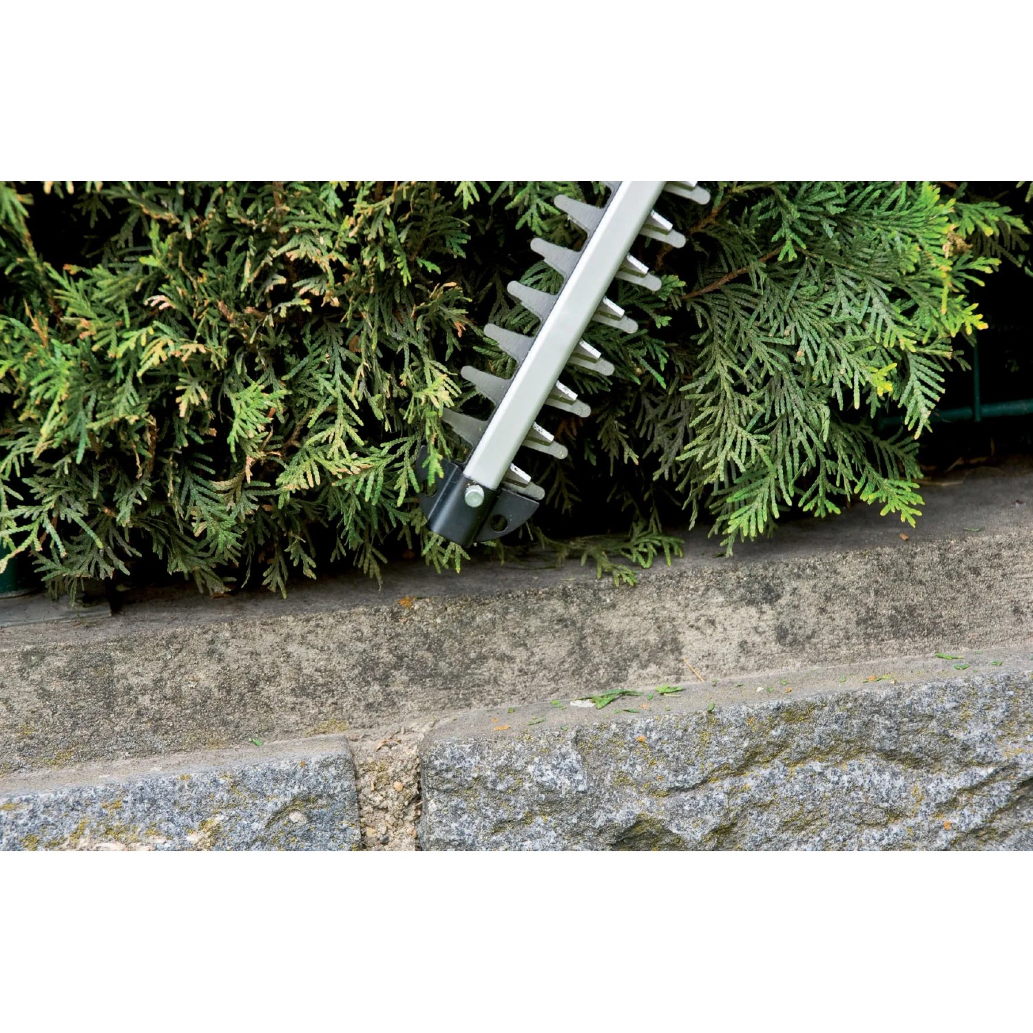 Tagliasiepi a batteria Einhell GC-CH 1855/1 Li Solo durante il taglio di una siepe.