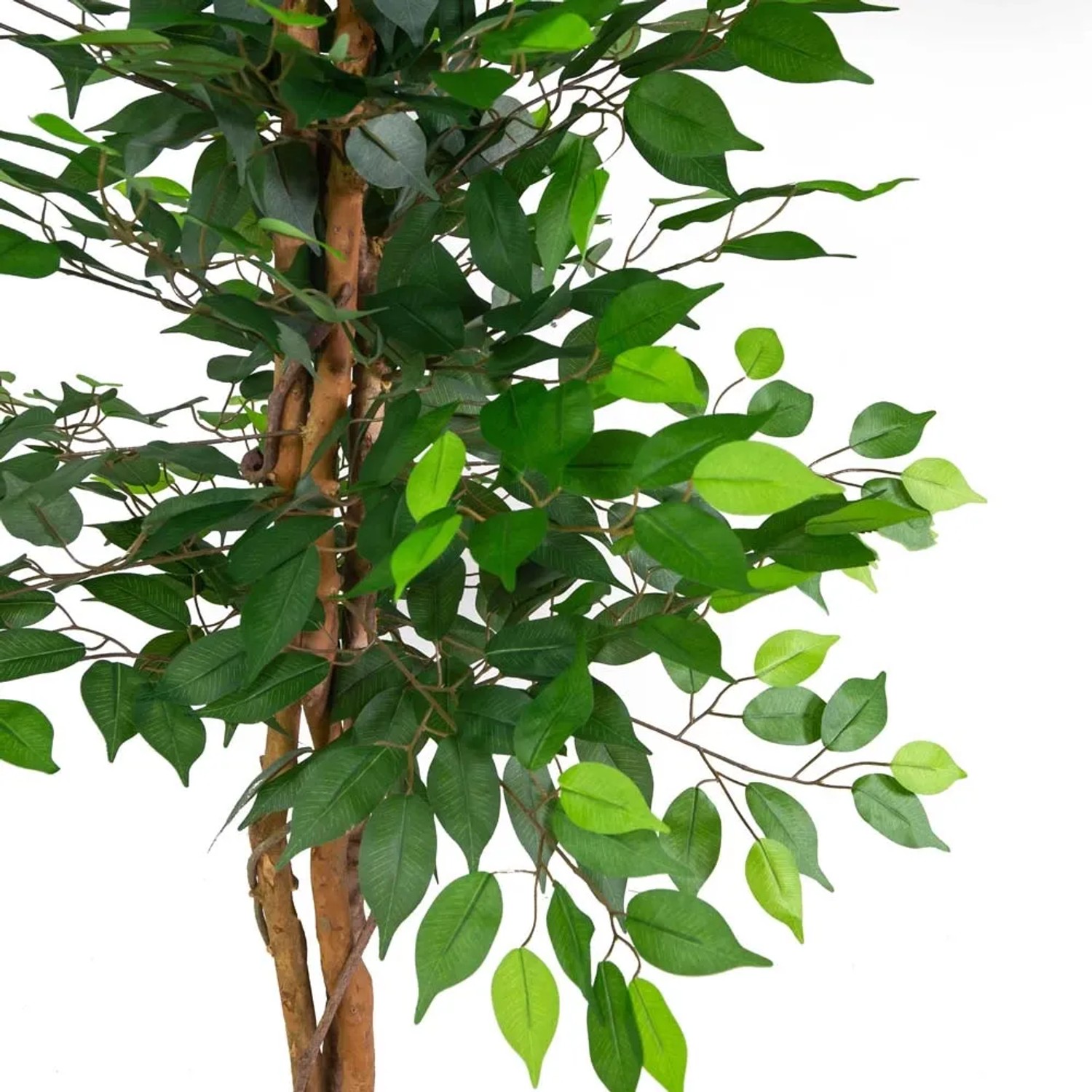 Pianta artificiale in plastica ficus h150 cm acquista da OBI