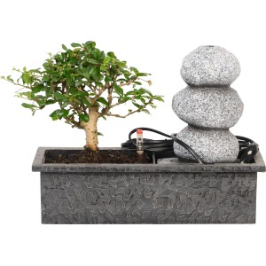 Disposizione a cascata con Easycare Bonsai in ciotola grigia. Fontana da interno con bonsai.