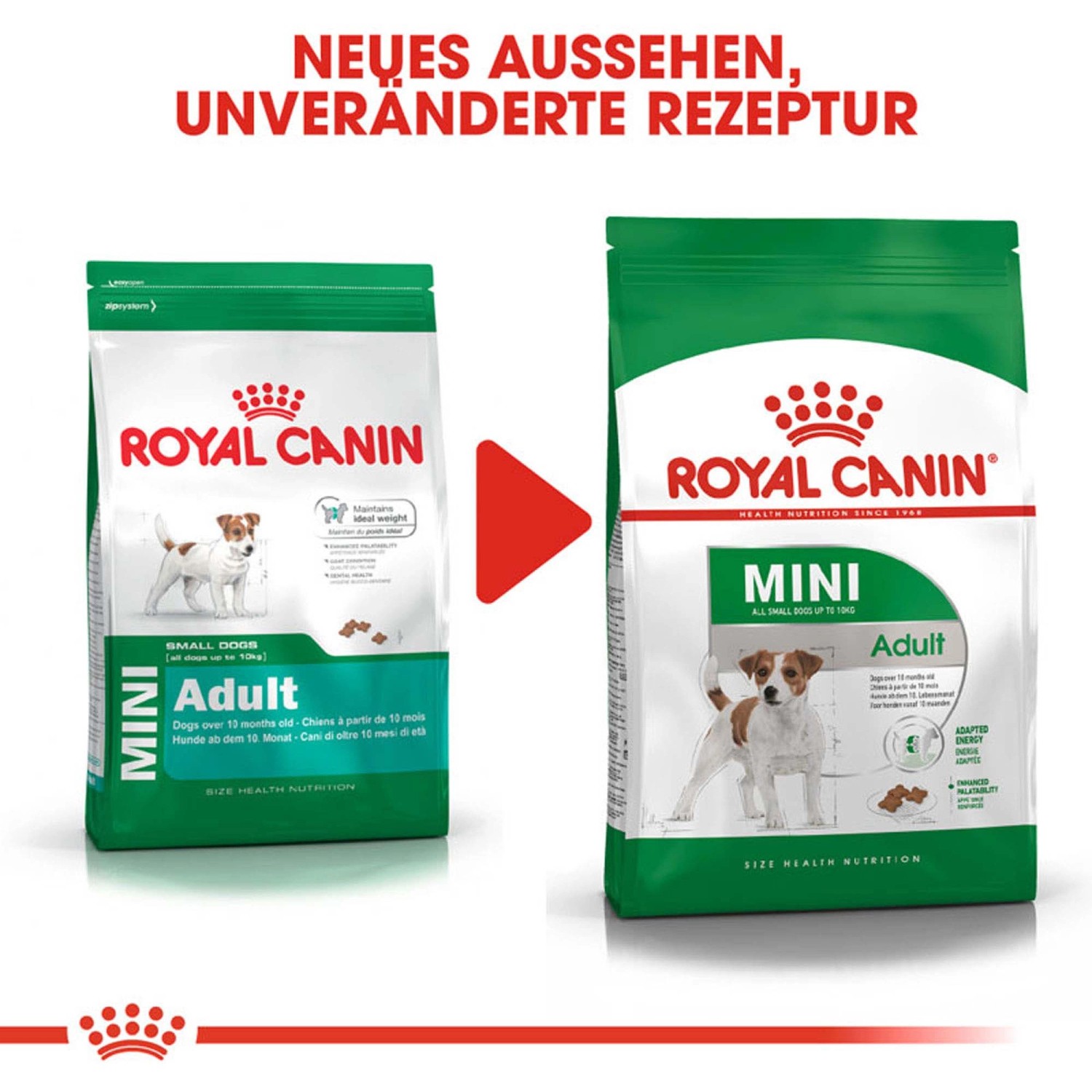 Royal Canin Mini Adult cibo secco, confezione da 800g, nuovo design, alimento per cani adulti di piccola taglia.