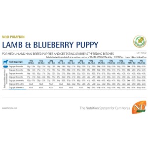 N&D Pumpkin cibo secco per cani Agnello e Mirtillo Puppy per cuccioli di taglia media e grande.