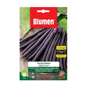 Confezione di semi di fagiolini nani viola "Purple Queen" di Blumen per la coltivazione di ortaggi.