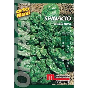Confezione di semi di spinaci 'Merlo Nero' per la coltivazione di ortaggi in giardino.