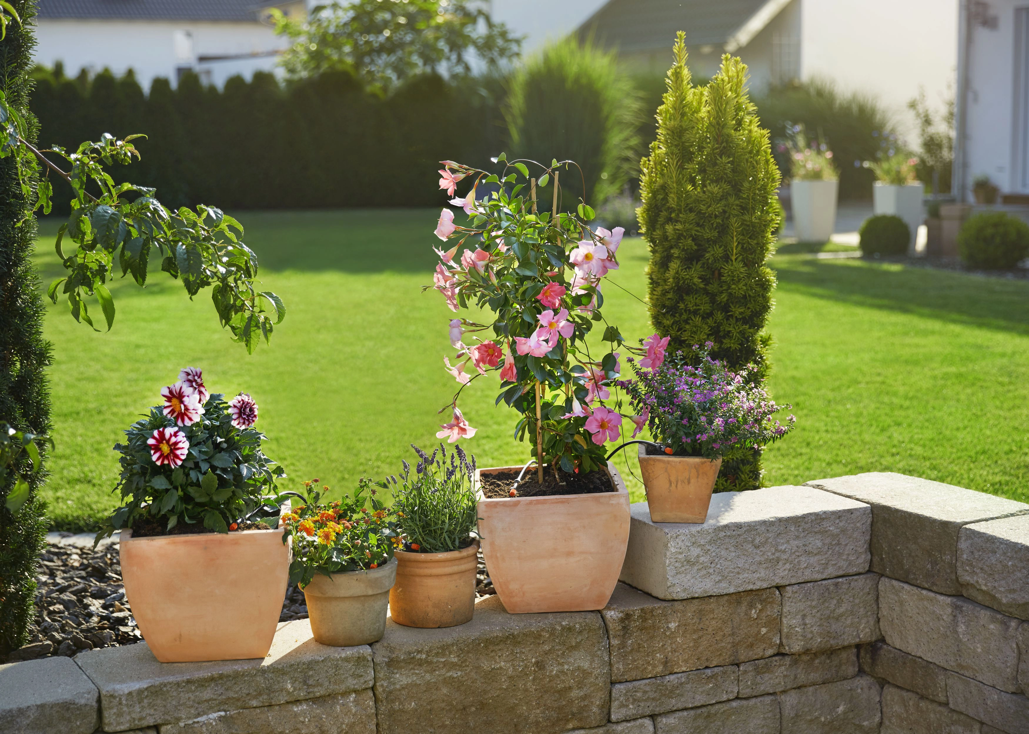 Sistemi di irrigazione per giardini - OBI - Attrezzatura per l