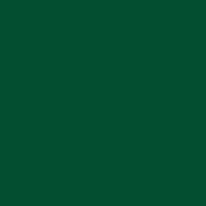 Vernice verde scuro per progetti fai-da-te.