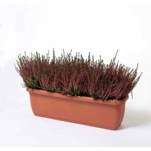 Cassetta Unica 50x20x16,4 cm in plastica terracotta
