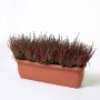 Cassetta Unica 50x20x16,4 cm in plastica terracotta_2