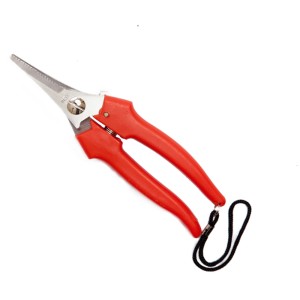 Cesoie da giardino t.b.t. con manico rosso e cordino.